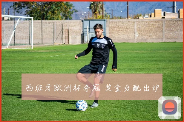 西班牙欧洲杯夺冠 奖金分配出炉